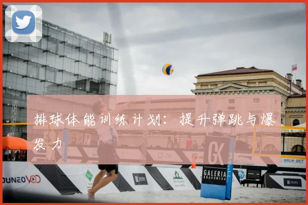 排球体能训练计划：提升弹跳与爆发力